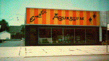 Exotic Aqurium in the 60's